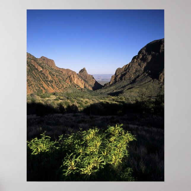 Window on the Desert Poster (Front)
