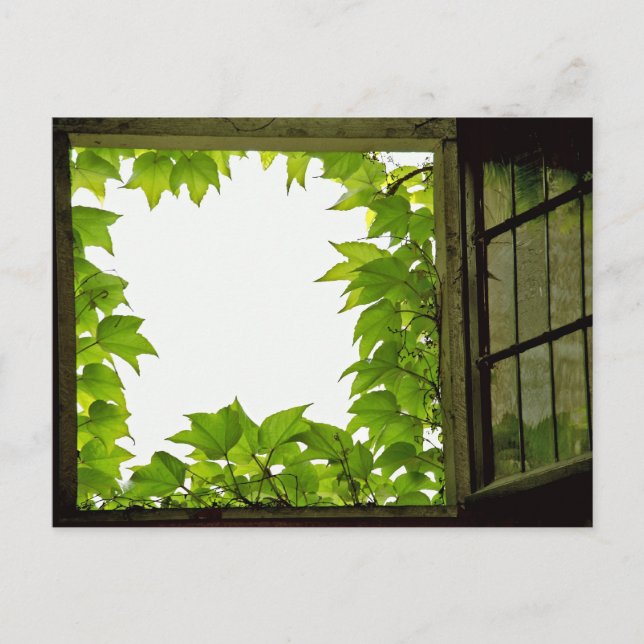 Window Postcard (Front)