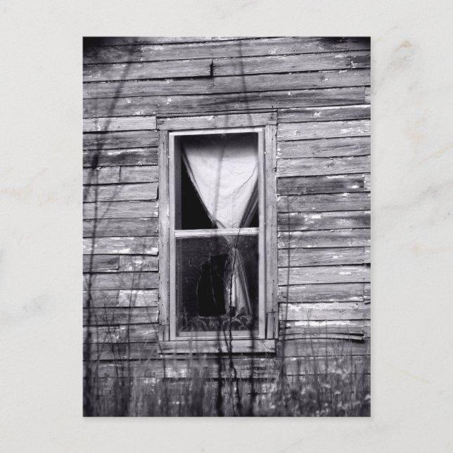 Window Postcard (Front)