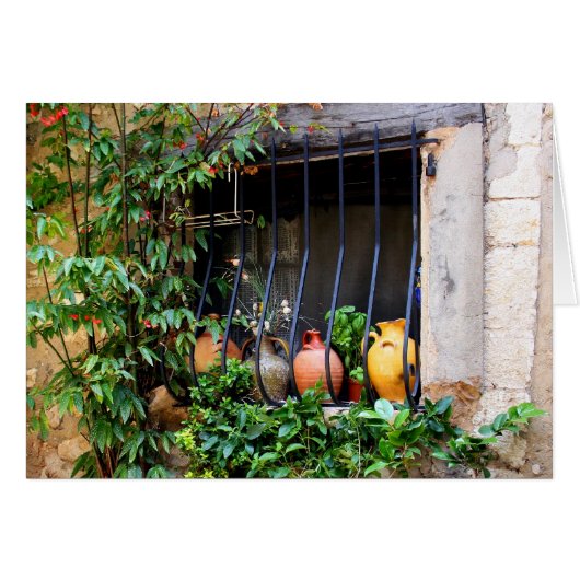 Window Pots II Cards (Front Horizontal)