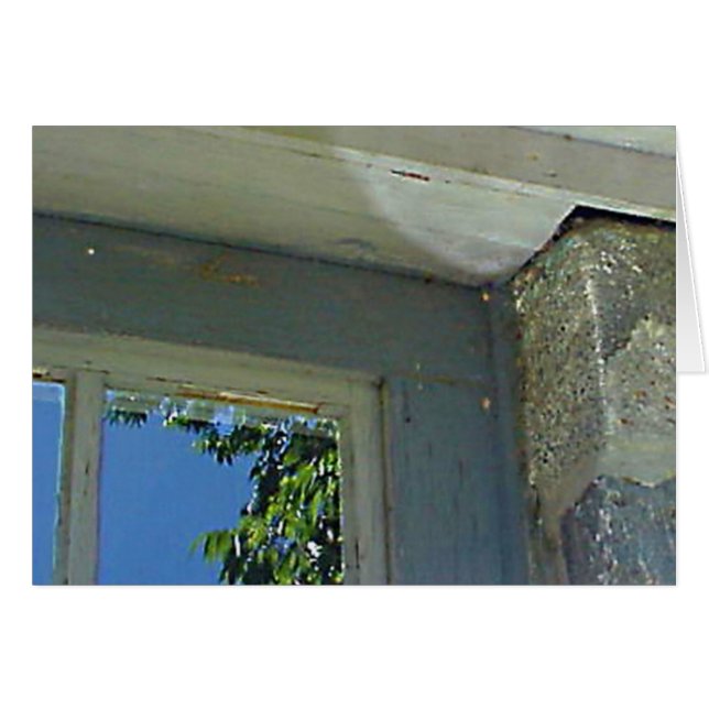 Window reflection card (Front Horizontal)