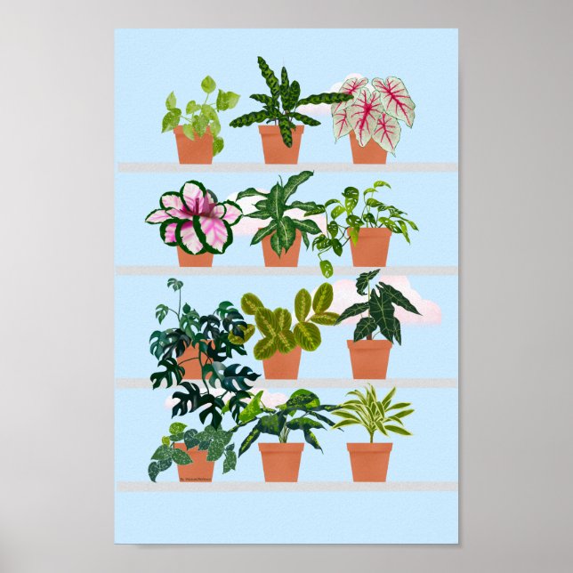 Window Shelves with House Plants Poster (Front)