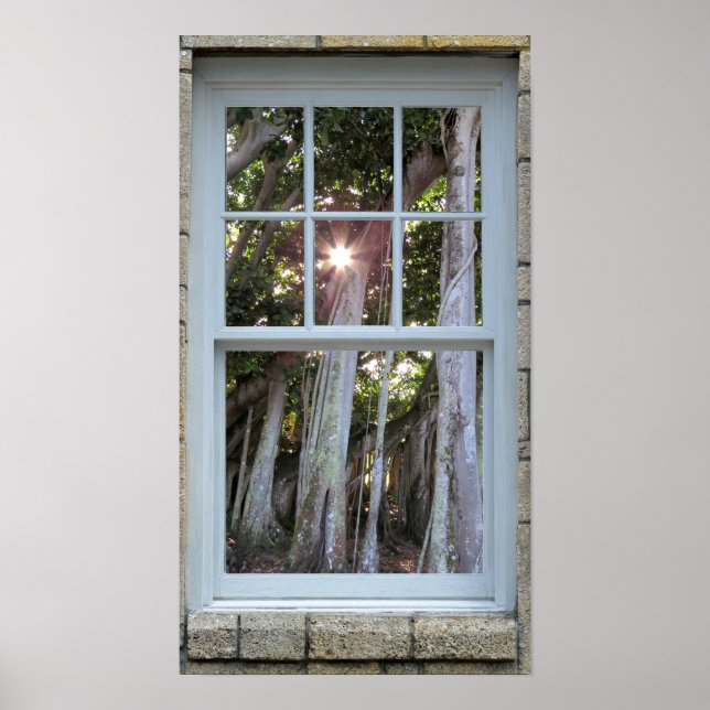 Window view Banyan tree Starburst Print (Front)
