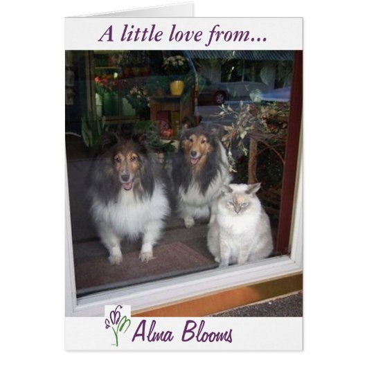 Window view cards (Front)