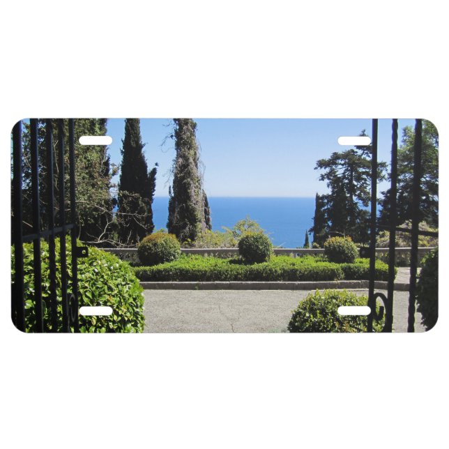 Window View License Plate (Front)