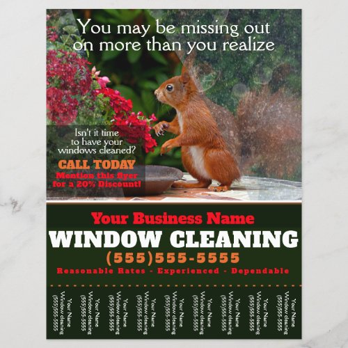 Window Washing Cleaning Business Tearsheet Flyer