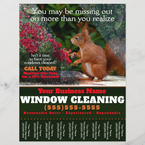 Window Washing Cleaning Business Tearsheet Flyer