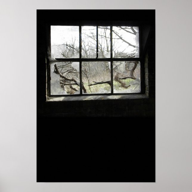 Window Watchin Poster (Front)