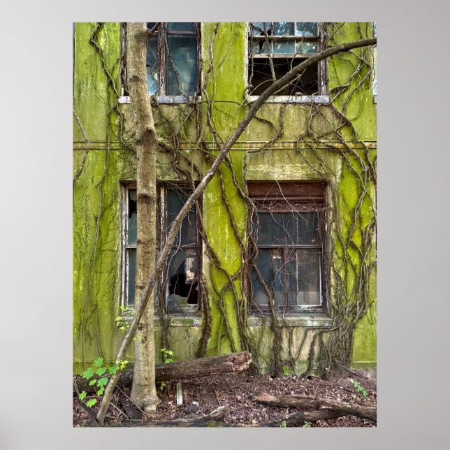Windows and Vines Poster (Front)
