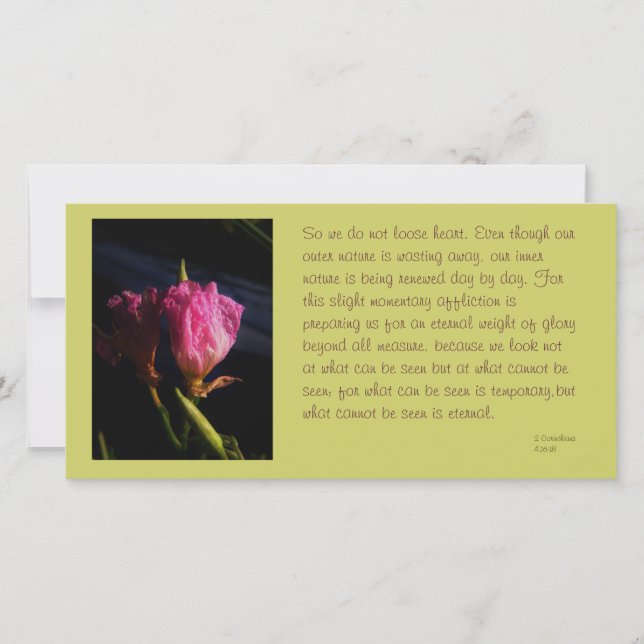 windows cats flowers 018.JPG, So we do not loos... (Front)