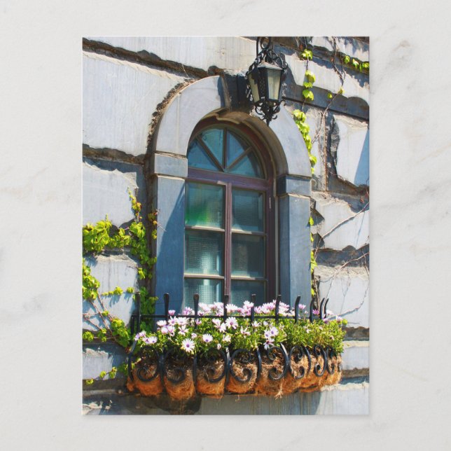 WINDOWS DOORS FLOWERS BUILDING POSTCROSSING POSTCARD (Front)