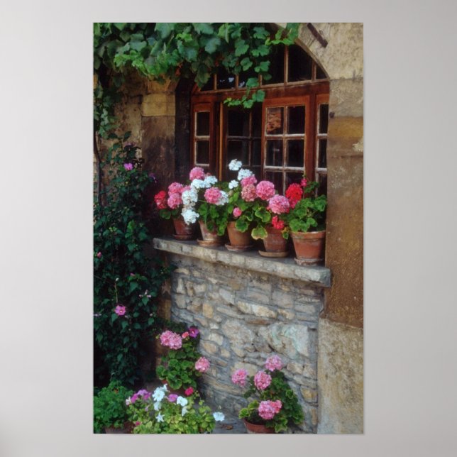 Windows In Perouges flowers Poster (Front)