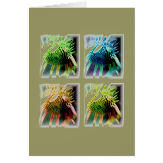 Windows of Echinecea Growth Cards (Front)
