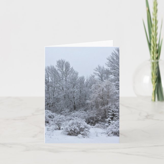 Windsor Winter White Christmas Holiday Card (Front)