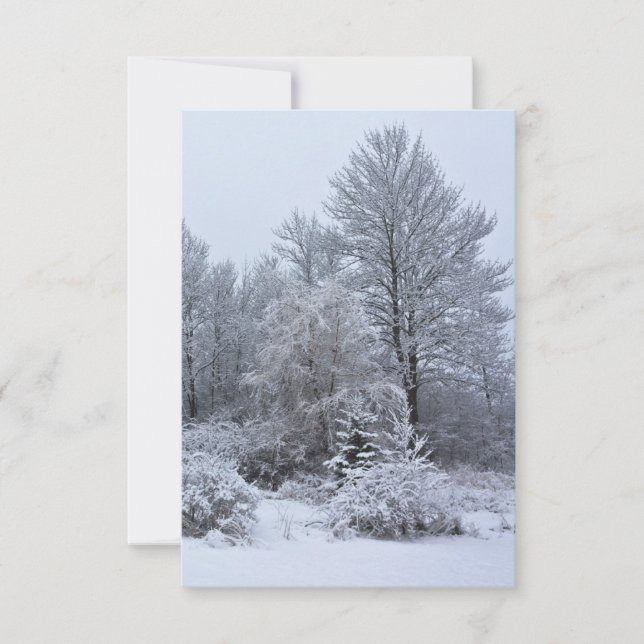 Windsor Winter White Christmas Invitation (Front)