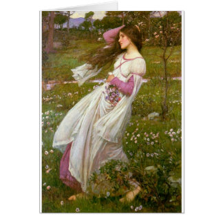 Windswept Cards