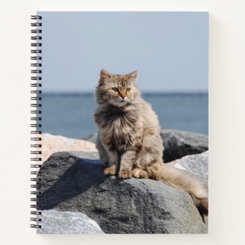 Windswept Cat at Seaside Cute Photo Notebook