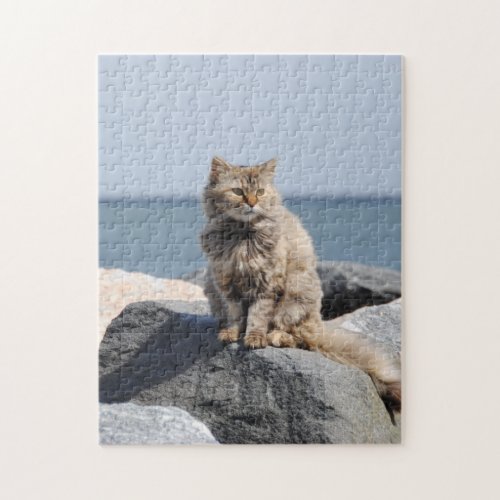 Windswept Cat by Sea Jigsaw Puzzle