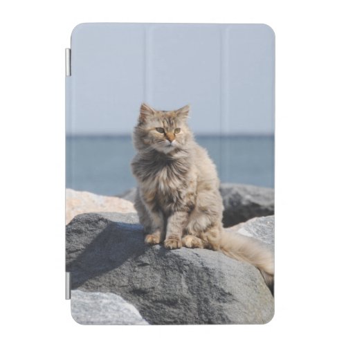Windswept Cat by Sea Photo iPad Mini Cover