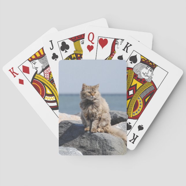 Windswept Cat by Sea Poker Cards (Back)