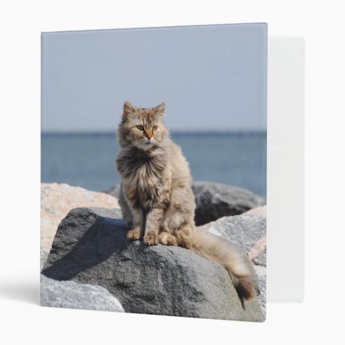 Windswept Cat by the Sea Cute Photo 3 Ring Binder