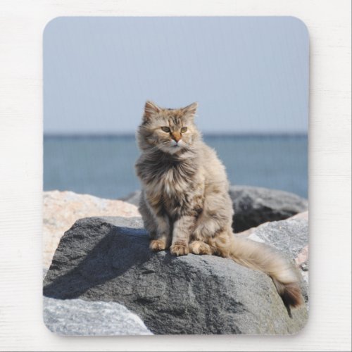 Windswept Cat by the Sea Cute Photo Mouse Pad