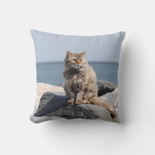 Windswept Cat by the Sea Cute Photo Throw Pillow