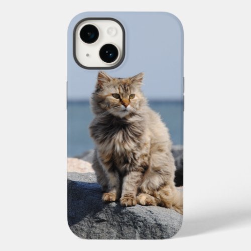 Windswept Cat Cute Photo Case_Mate iPhone 14 Case