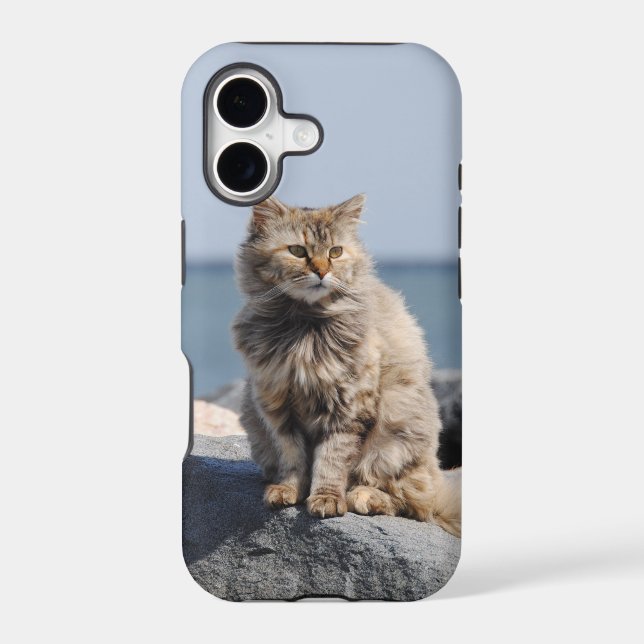 Windswept Cat Cute Photo Case-Mate iPhone Case (Back)
