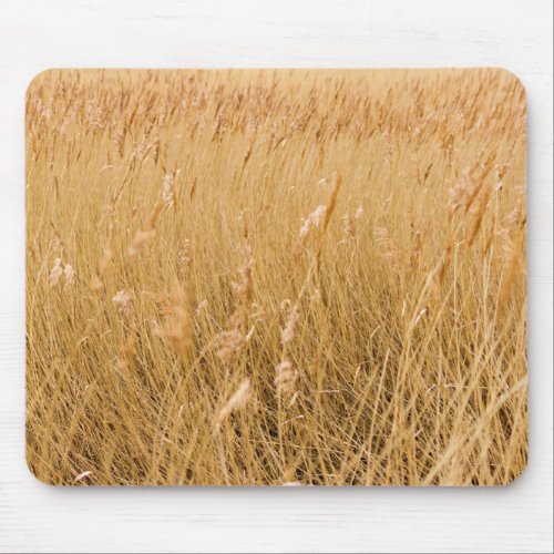 Windswept Grass  Mouse Pad
