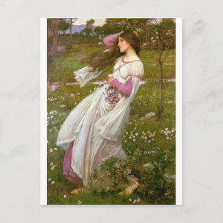 Windswept Postcard