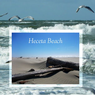 Windswept Sand, Driftwood, Heceta Beach, OR Postcard