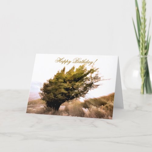 WINDSWEPT TREE CARD