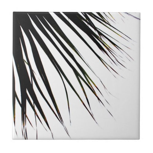 Windswept Tropical Palm Tree In Black Ceramic Tile