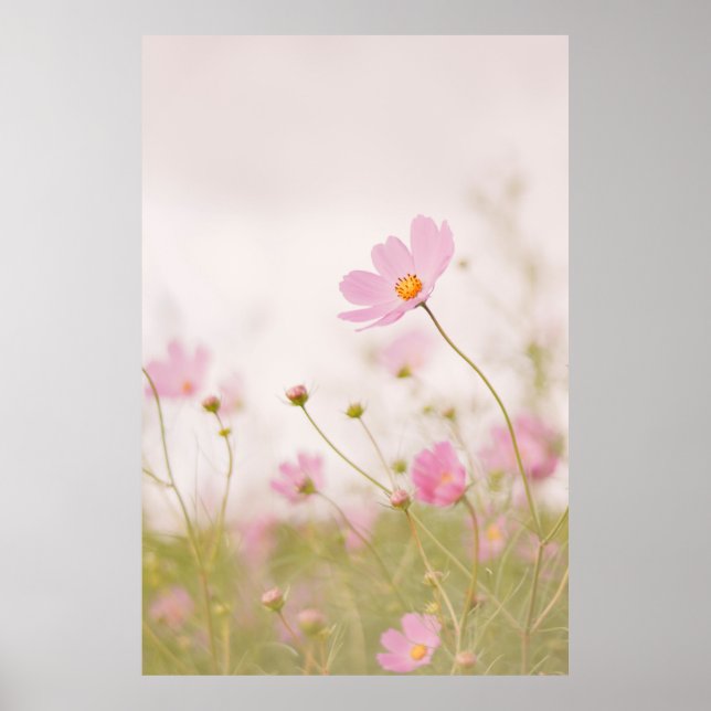 WINDY DAY POSTER (Front)