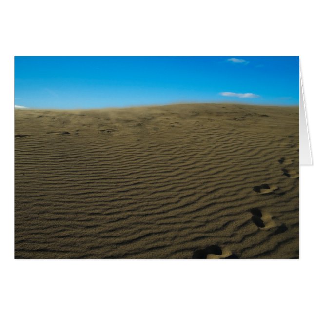Windy dune cards (Front Horizontal)