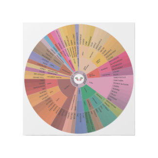 Wine Aroma Wheel Gallery Wrap