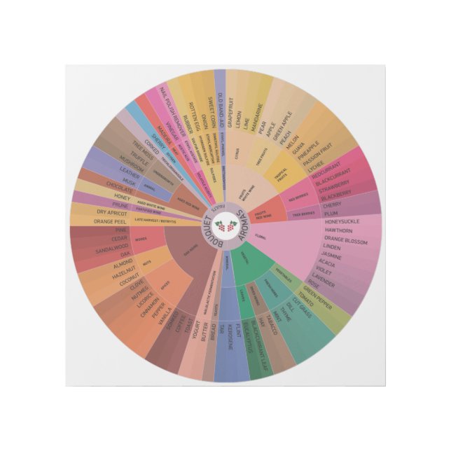 Wine Aroma Wheel Gallery Wrap (Front)