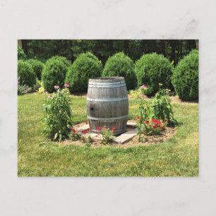 Wine Barrel Garden Decor, Chateau Morrisette, VA Postcard