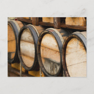 Wine Barrel Row Postcard