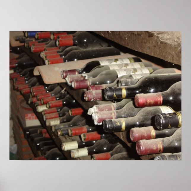 Wine Cellar Poster (Front)