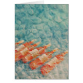 Wine Cooling 2010 (Front)