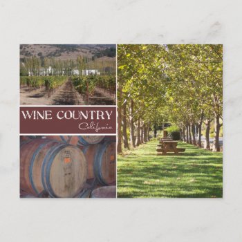 Wine Country  California Postcard by lifethroughalens at Zazzle
