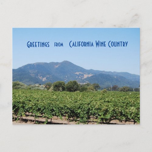 Wine Country California Postcard