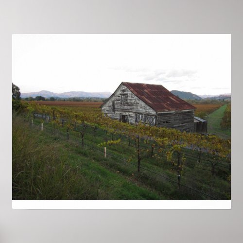 Wine Country California Poster