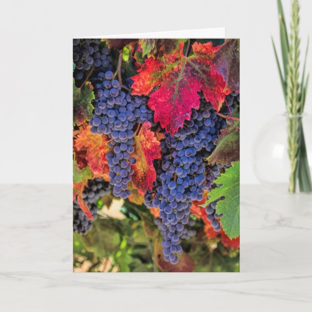 Wine Country Fall Vineyard Thank You Cards (Front)