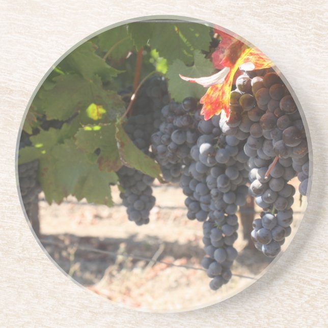 Wine Country Grapes Sandstone Coaster (Front)
