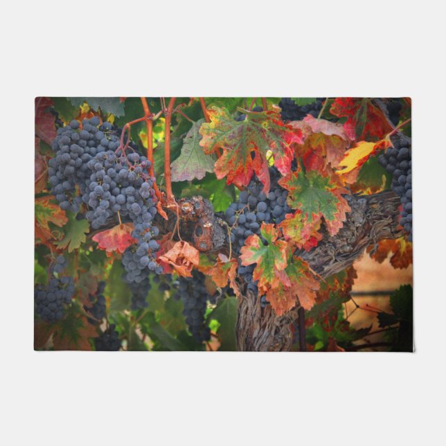 Wine Country Harvest Vineyard with Fall Colors Doormat (Front)