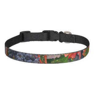 Wine Country Pet Collar