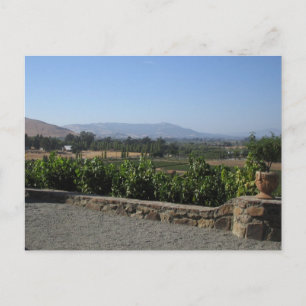 Wine Country Postcard
